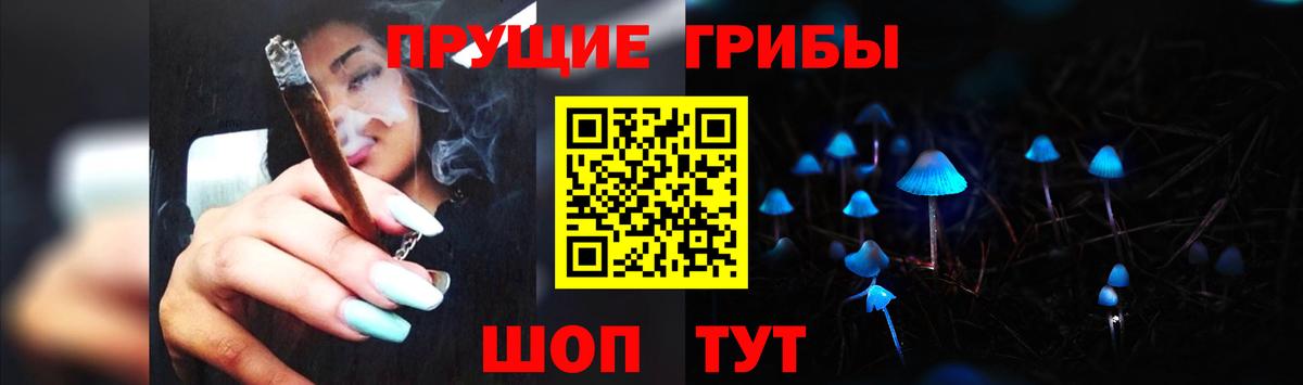 Псилоцибиновые грибы GOLDEN TEACHER  Вход с VPN  Кингисепп  Псилоцибиновые грибы MAGIC MUSHROOMS 